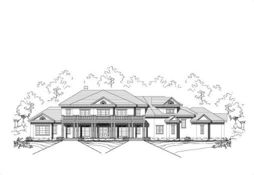 Large Image