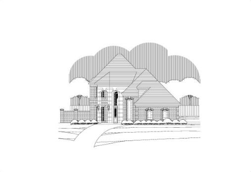 Large Image