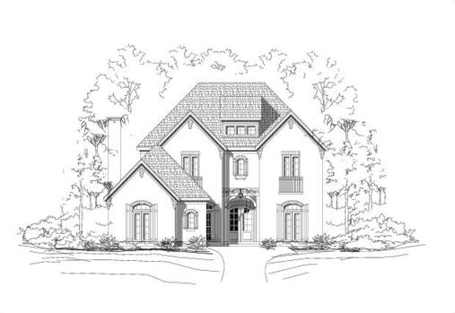 Large Image