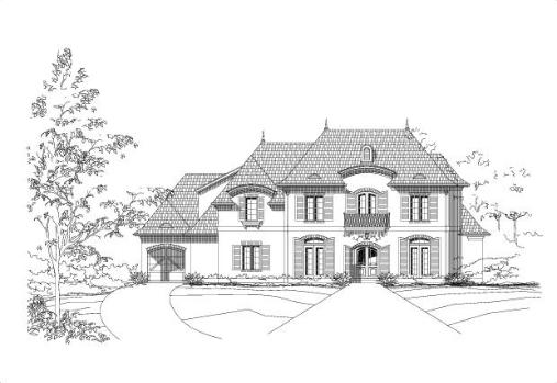 Large Image