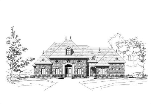 Large Image