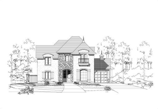 Large Image