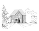 Elevation
