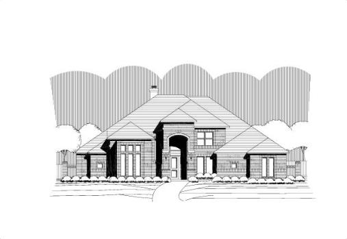 Large Image