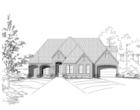 Elevation