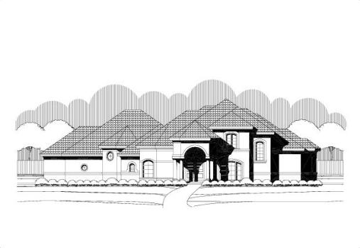 Large Image