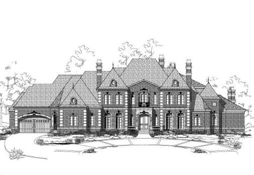 Large Image