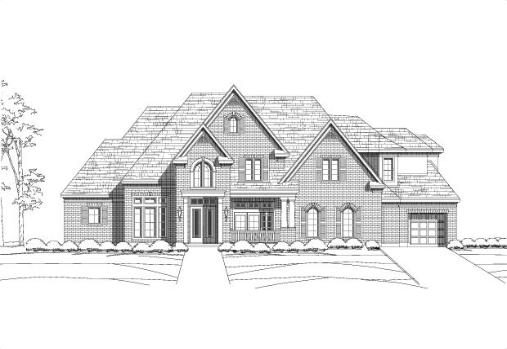 Large Image