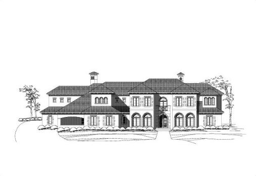 Large Image