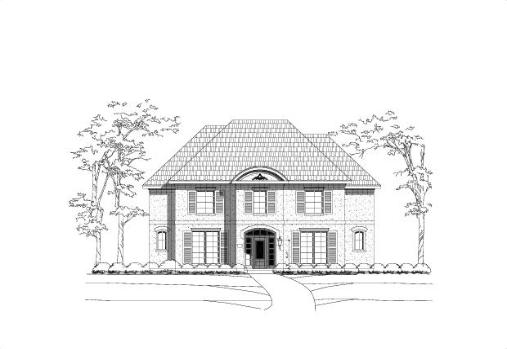 Large Image