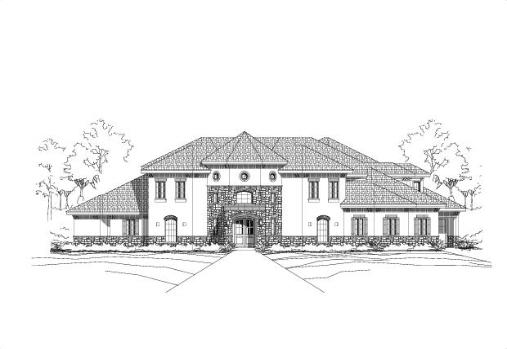 Large Image