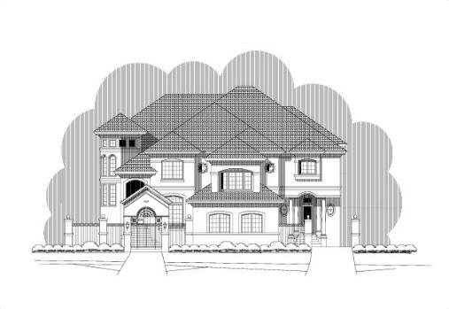 Large Image