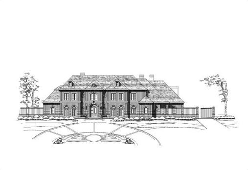 Large Image