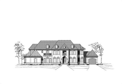 Large Image