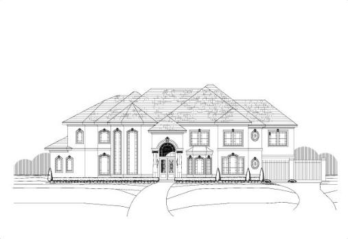 Large Image