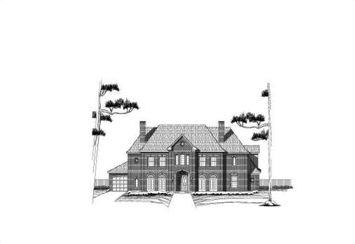 Large Image