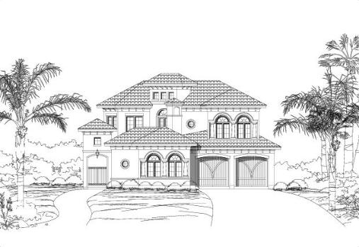 Large Image