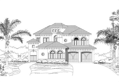 Large Image