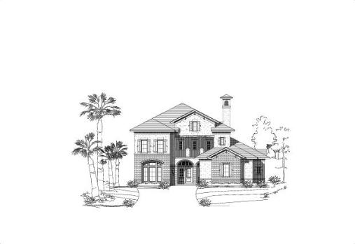 Large Image