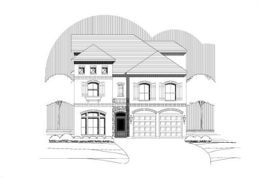 Large Image