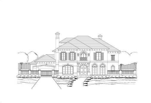 Large Image