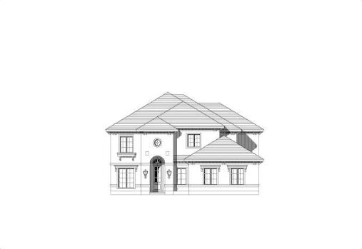 Large Image