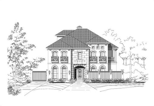 Large Image