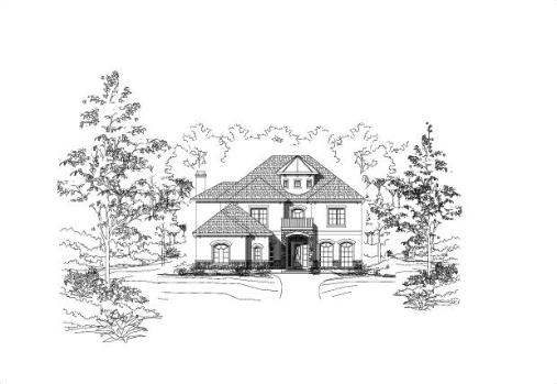 Large Image