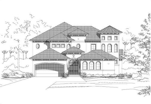 Large Image