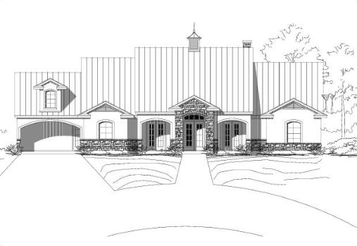 Large Image