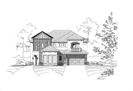 Large Image