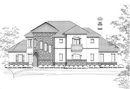 Large Image