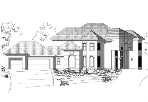 Large Image