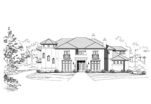 Large Image