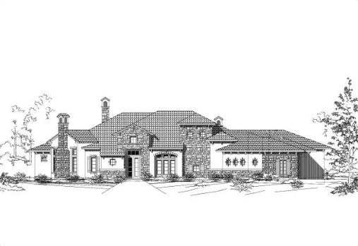 Large Image