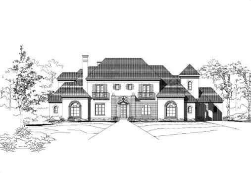 Large Image
