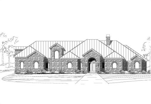Large Image