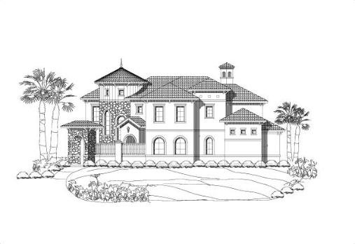 Large Image