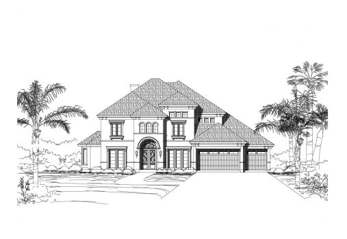 Large Image
