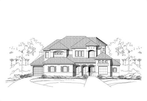 Large Image