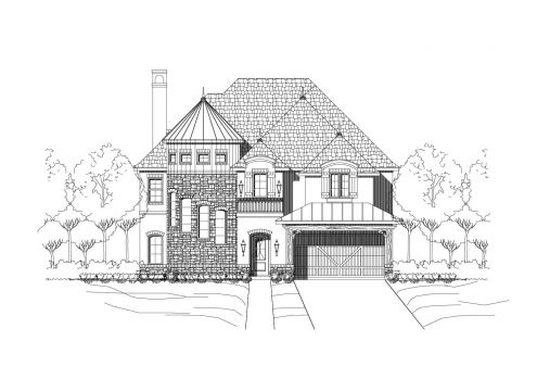 Large Image