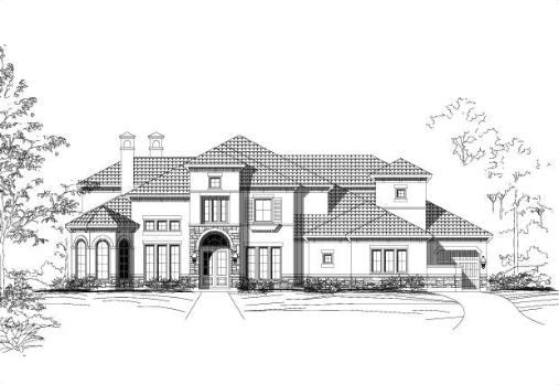 Large Image