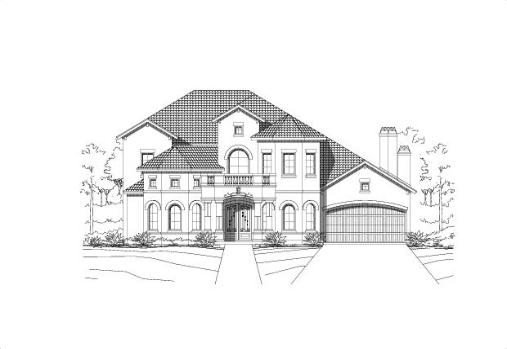 Large Image
