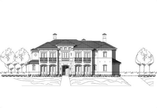 Large Image