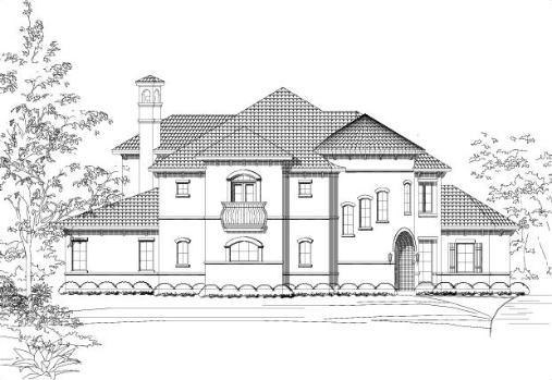 Large Image