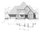 Elevation