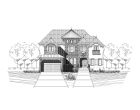 Elevation