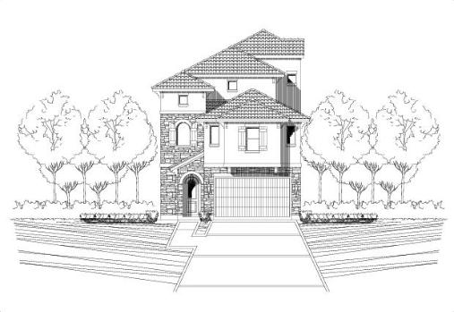 Large Image
