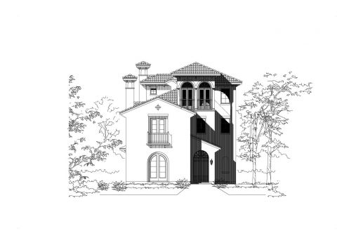 Large Image