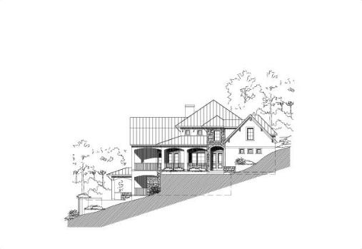 Large Image